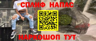 гашик Ливны