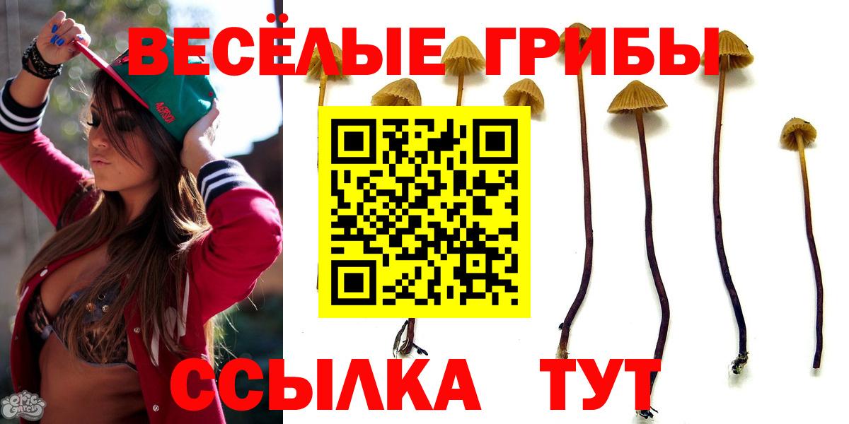 Галлюциногенные грибы MAGIC MUSHROOMS  Вход с VPN  Кондопога 
