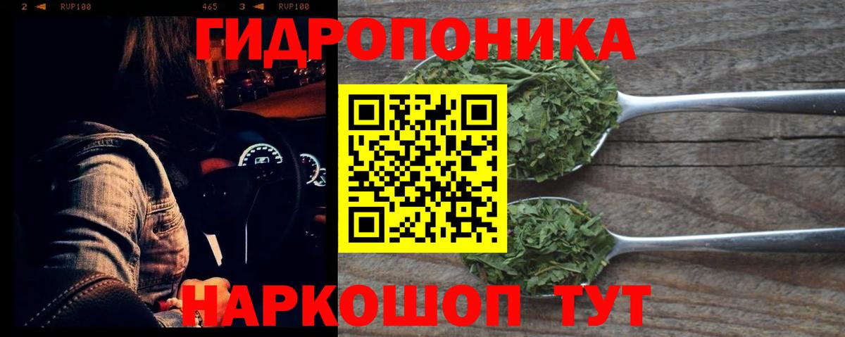 Конопля OG Kush Кондопога